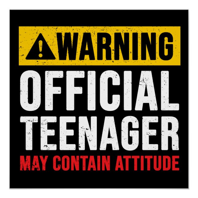 Poster Cadeau d'anniversaire officiel d'adolescent de 13  (Devant)
