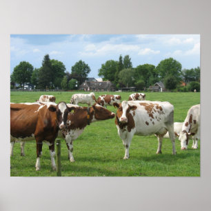 Poster Cadeau de Vaches laitières néerlandaises Im