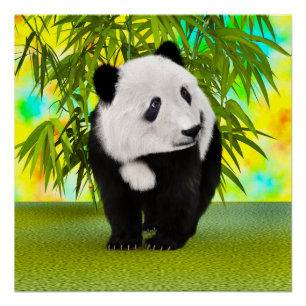 Poster Cadeau parfait pour amateur d'animaux mignon ours