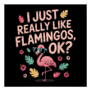 Poster Cadeau pour hommes et femmes amateur de flamants r