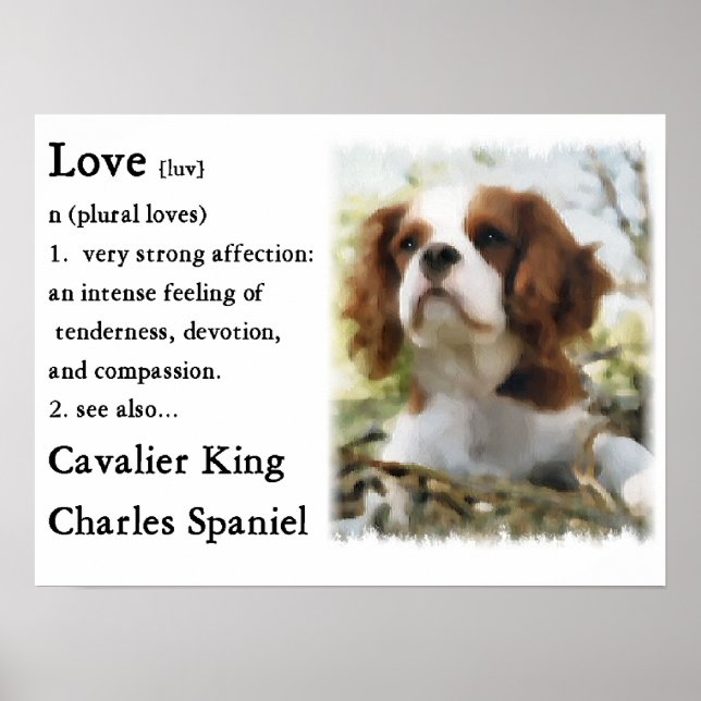 Poster Cadeaux Cavalier King Charles Spaniel (Devant)