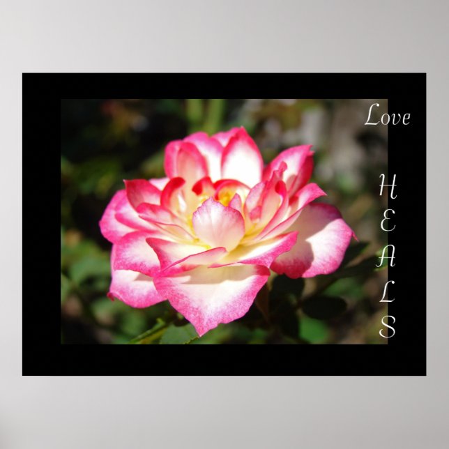Poster Cadeaux d'art d'impression Love HEALS Fleurs Rose  (Devant)