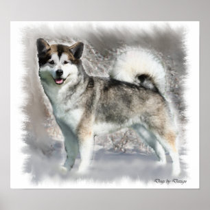 Poster Cadeaux d'impression d'art de Malamute d'Alaska