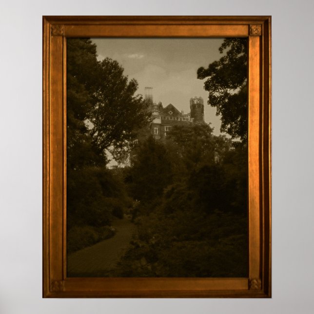 Poster Cadre photo ancien faux château Maison hantée Acce (Devant)