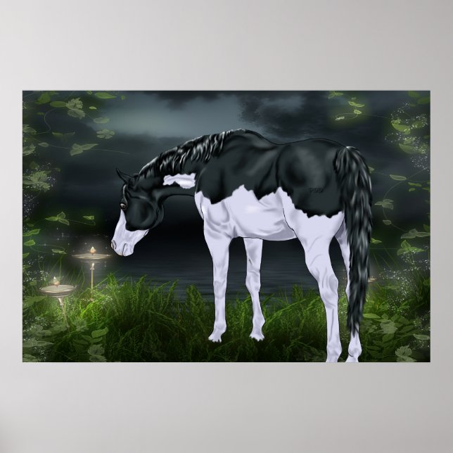 Poster Cadres noir et blanc Overture Paint Horse (Devant)