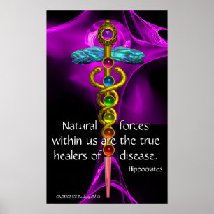 Poster CADUCUS D'OR, 7 CHAKRAS, VIOLET ROSE Médicale, Yog