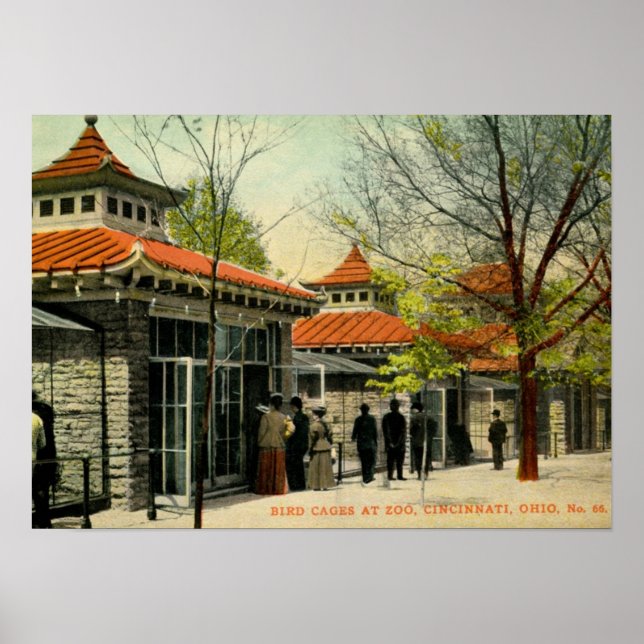 Poster Cages d'oiseaux au Zoo, Cincinnati, OH Vintage (Devant)