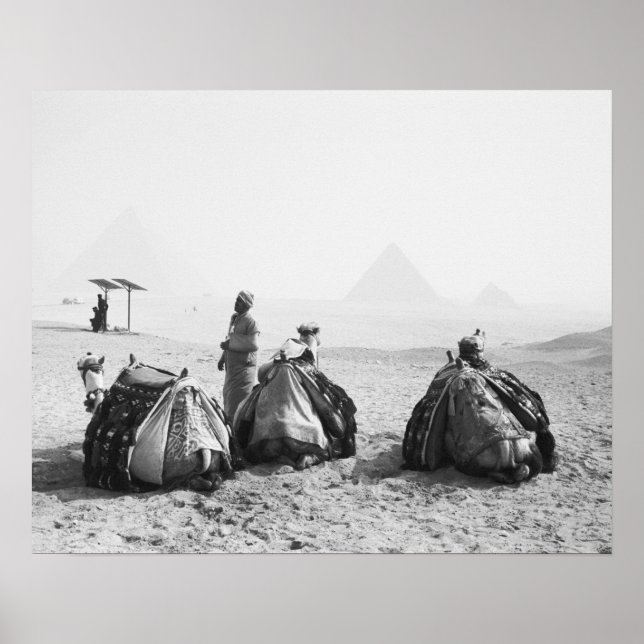 Poster Caire Egypte, Camel Jockeys Giza Pyramides (NR) (Devant)