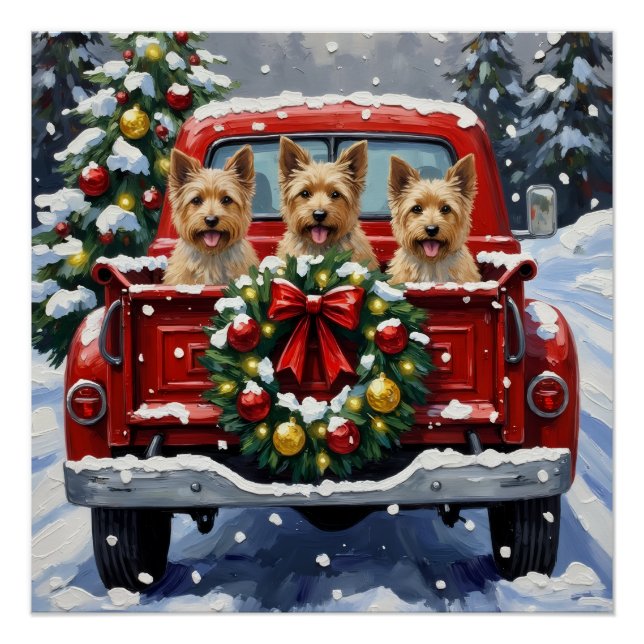 Poster Cairn Terrier Noël Camion Rouge Fêtes (Devant)