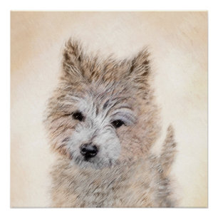 Poster Cairn Terrier Peinture Chiot - Art Chien original
