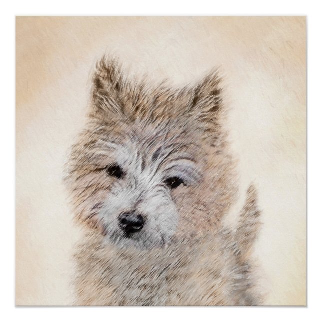 Poster Cairn Terrier Peinture Chiot - Art Chien original (Devant)