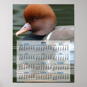 Poster Calendrier 2013 du canard sauvage