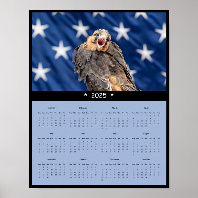 Poster Calendrier 2025 ADiplomado Falcon (Devant)