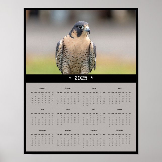 Poster Calendrier du faucon pèlerin 2025 (Devant)
