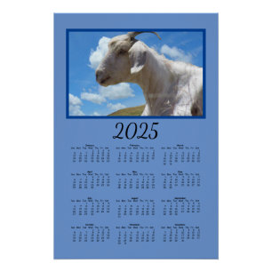 Poster Calendrier - Moutons sur la colline