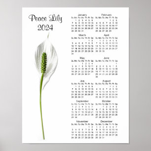 Poster Calendrier Peace Lily Design 2024