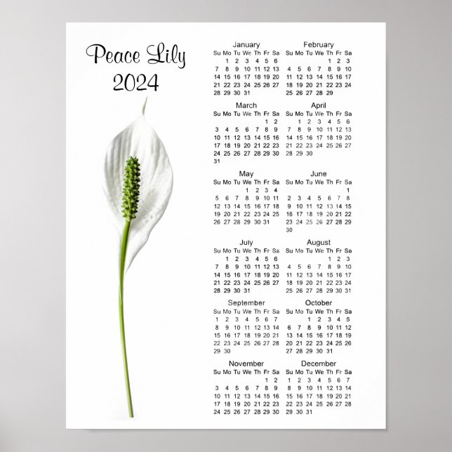 Poster Calendrier Peace Lily Design 2024 (Devant)