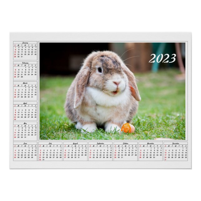 Poster Calendrier pour 2023 Jote lapin à lop (Devant)