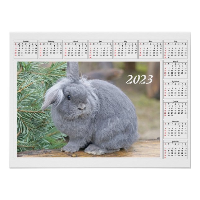 Poster Calendrier pour le lapin gris mou 2023 (Devant)