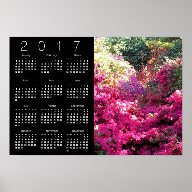 Poster Calendrier Rhododendron 2017 (Devant)