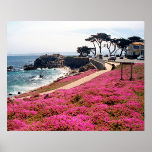 Poster Calif Pacific Grove-Monterey