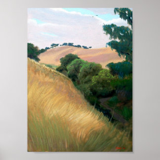 Poster California Hills