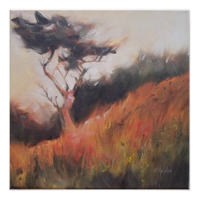 Poster California Monterey Cypress Arbre Lone (Devant)