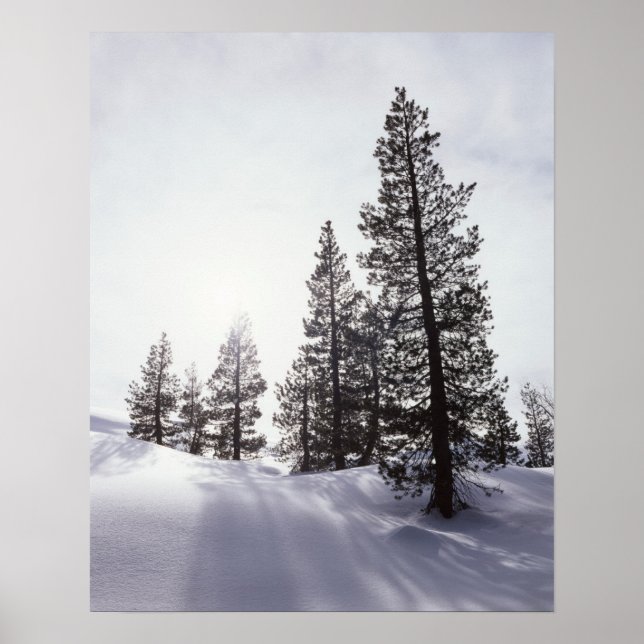 Poster Californie, Rancho Cuyamaca State Park (Devant)
