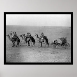 Poster Camels tirant un chariot à travers le Sahara 1901