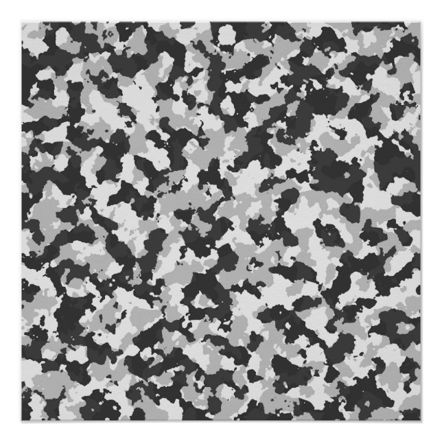 Poster camouflage (Devant)