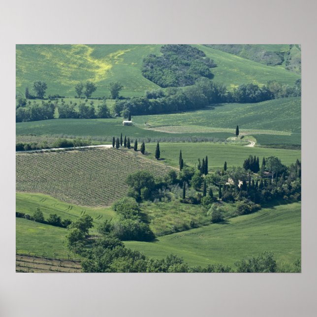 Poster Campagne près de Montepulciano, Val d'Orcia, (Devant)