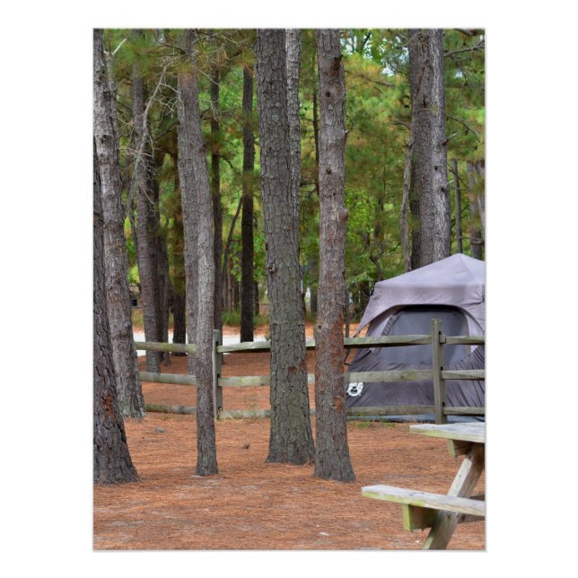 Poster Camping avec tente et clôture en bois (Devant)
