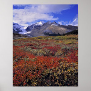 Poster Canada, Alberta, Parc national de Banff. Les airel