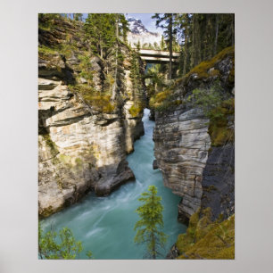 Poster Canada, Alberta, Parc national Jasper, Athabasca 2