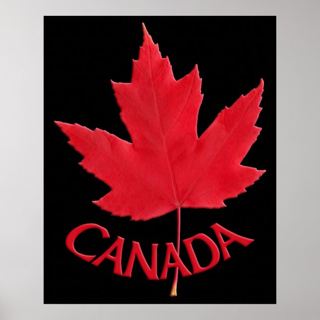 Poster Canada Souvenir Feuille d'érable du Canada  (Devant)