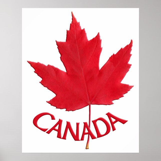 Poster Canada Souvenir Feuille d'érable du Canada  (Devant)