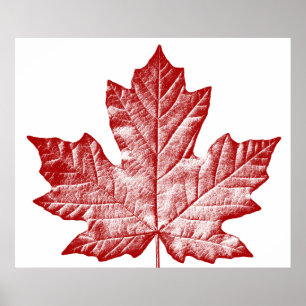 Poster Canada Souvenir Feuille d'érable du Canada 