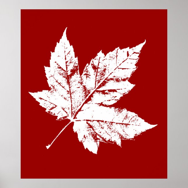 Poster Canada Souvenir Feuille d'érable du Canada  (Devant)