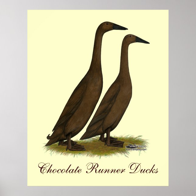 Poster Canards coureurs de chocolat (Devant)