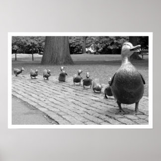 Poster Canards dans le jardin public Imprimer