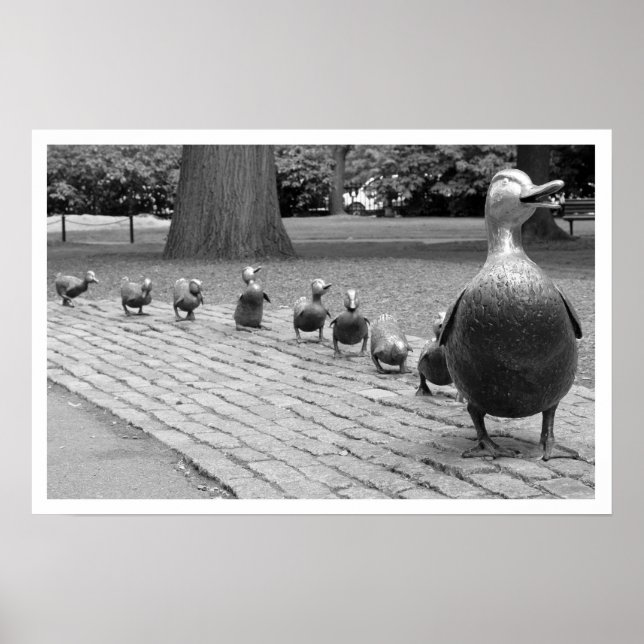 Poster Canards dans le jardin public Imprimer (Devant)