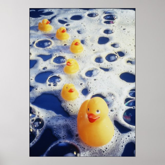 Poster Canards dans une rangée (Devant)