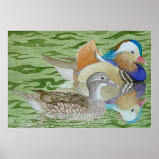 Poster Canards mandarins sur un lac