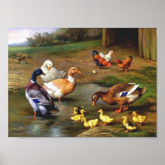 Poster Canards Poulets Animaux Oiseaux Peinture (Devant)