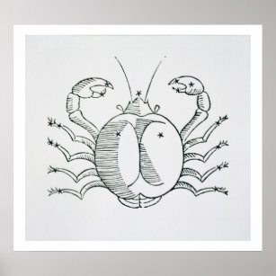 Poster Cancer (le crabe) une illustration de la poésie