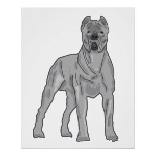 Poster Cane Corso