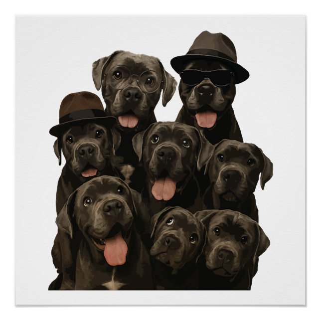 Poster Cane Corso (Devant)