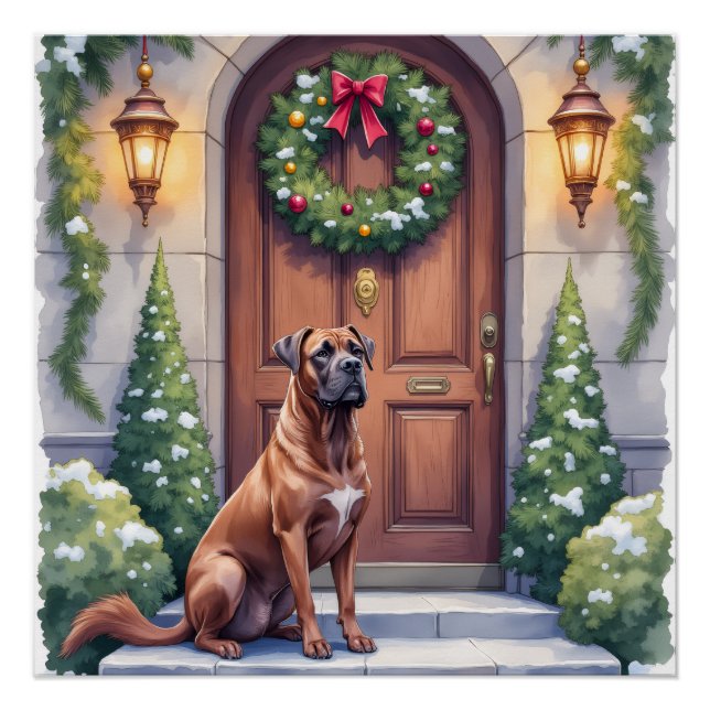 Poster Cane Corso Grand Door Evergreen Christmas Art (Devant)
