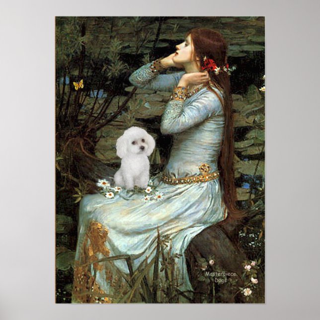 Poster Caniche (jouet blanc) - Ophélie assise (Devant)