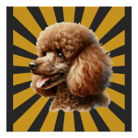 Caniche standard marron rétro soleil levant